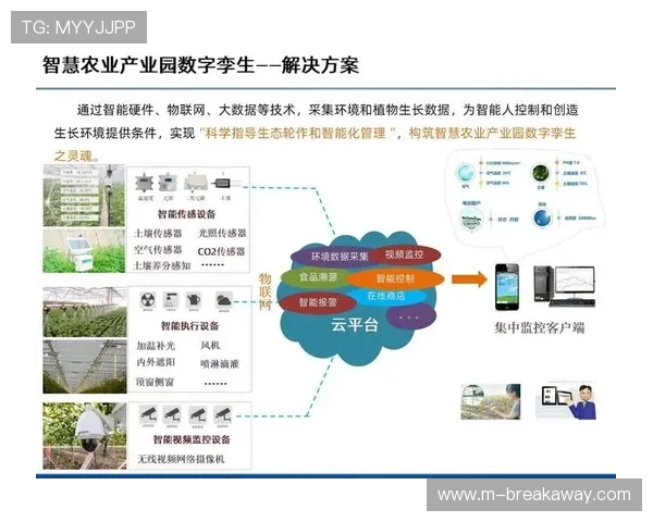 多源数据融合算法优化 提升分析全面性